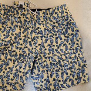 LANDS END MEN'S SWIM TRUNKS